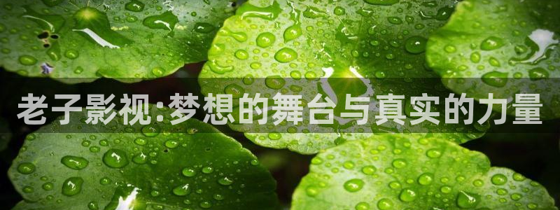 飘零午夜电影