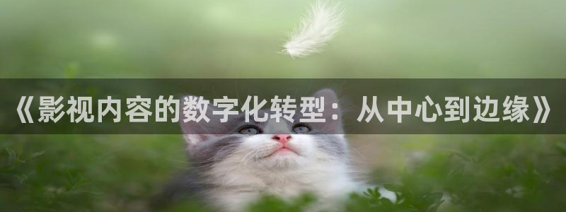 飘零电影完整版在线观看：《影视内容的数字化转型：从中心到边缘》