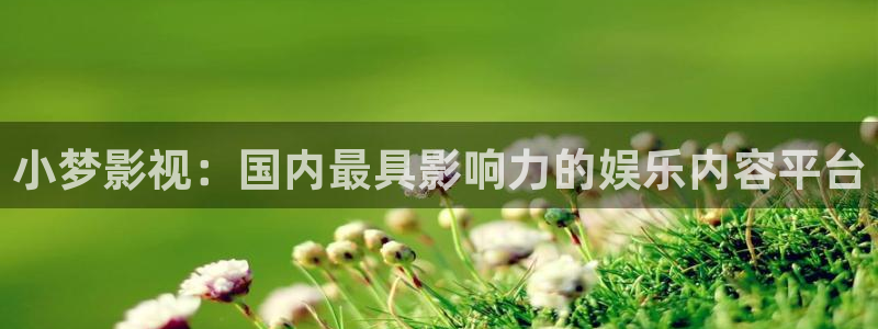 新视觉飘零影院
