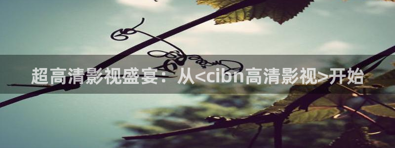 飘零未来影院：超高清影视盛宴：从<cibn高清影视>开始