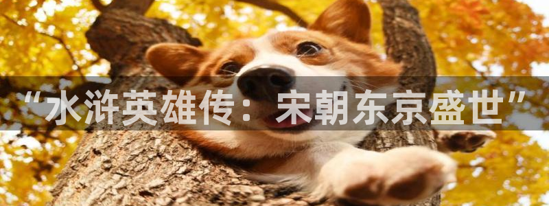 yy飘零影院：“水浒英雄传：宋朝东京盛世”