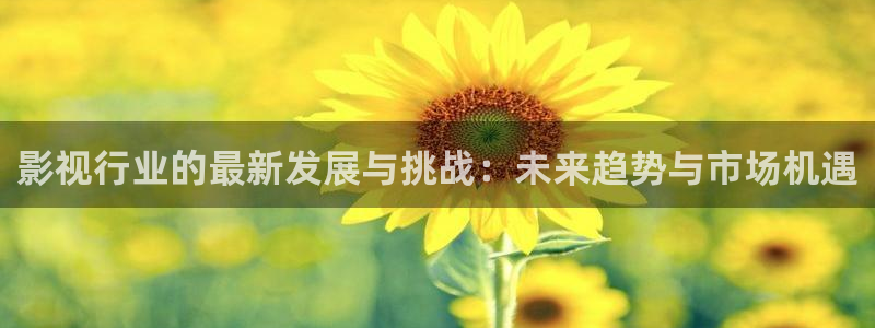 飘零影视：影视行业的最新发展与挑战：未来趋势与市场机遇