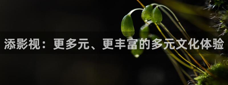 飘零影院网站
