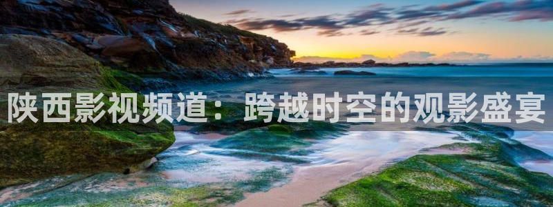 飘雪飘零电影在线看：陕西影视频道：跨越时空的观影盛宴