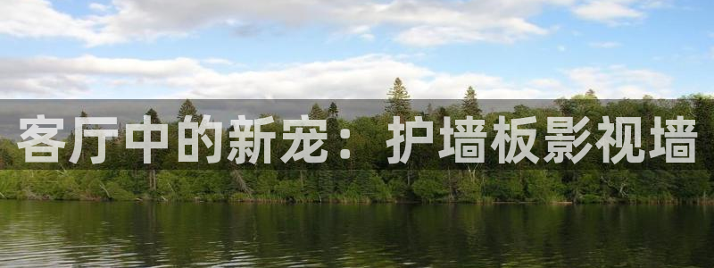 飘零影视全集完整版在线观看：客厅中的新宠：护墙板影视墙